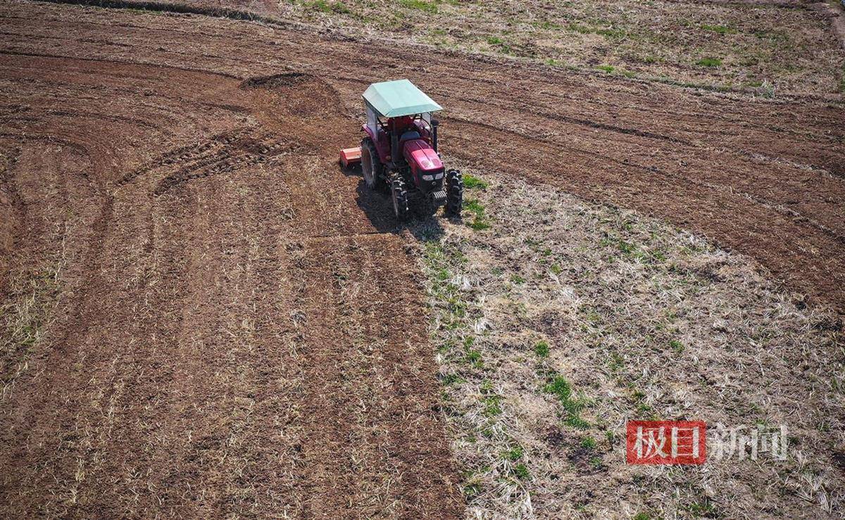 拖拉機,、收割機、插秧機,、無人機……美女農(nóng)機手樣樣在行:插秧機
