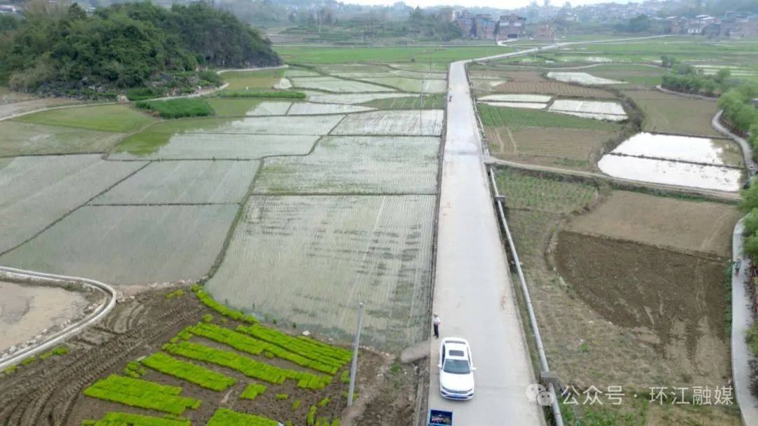 這機(jī)器太頂用了<strong></p>
<p>插秧機(jī)
</strong>,！環(huán)江種糧大戶點(diǎn)贊無人駕駛插秧機(jī):插秧機(jī)
