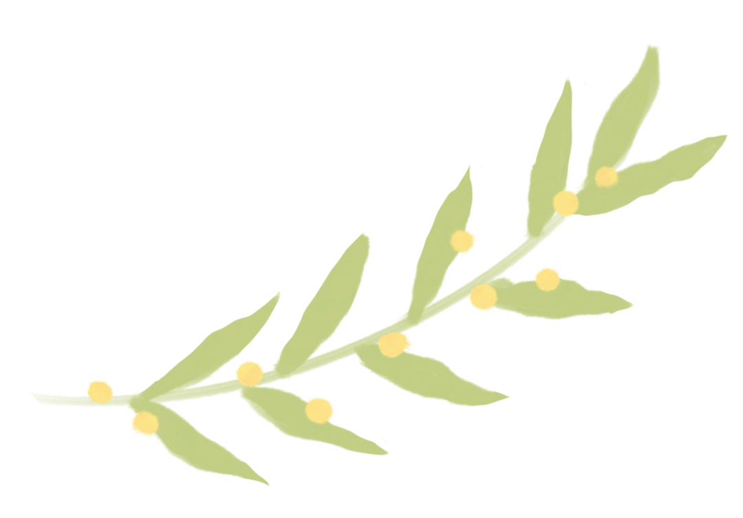 春耕正當(dāng)時<strong></p>
<p>插秧機
</strong>,，沃得驍龍高速乘坐式插秧機為您的水稻種植助力,！:插秧機
