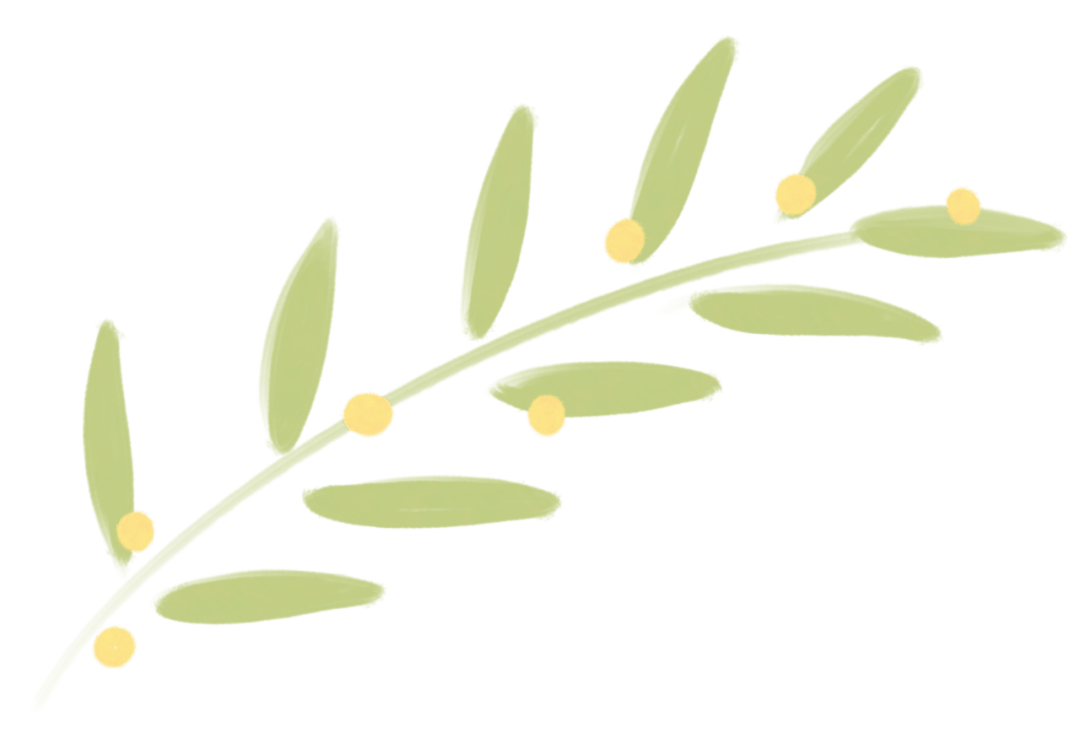 春耕正當(dāng)時<strong></p>
<p>插秧機
</strong>,，沃得驍龍高速乘坐式插秧機為您的水稻種植助力！:插秧機
