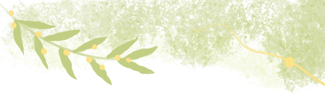 春耕正當(dāng)時<strong></p>
<p>插秧機
</strong>,，沃得驍龍高速乘坐式插秧機為您的水稻種植助力！:插秧機
