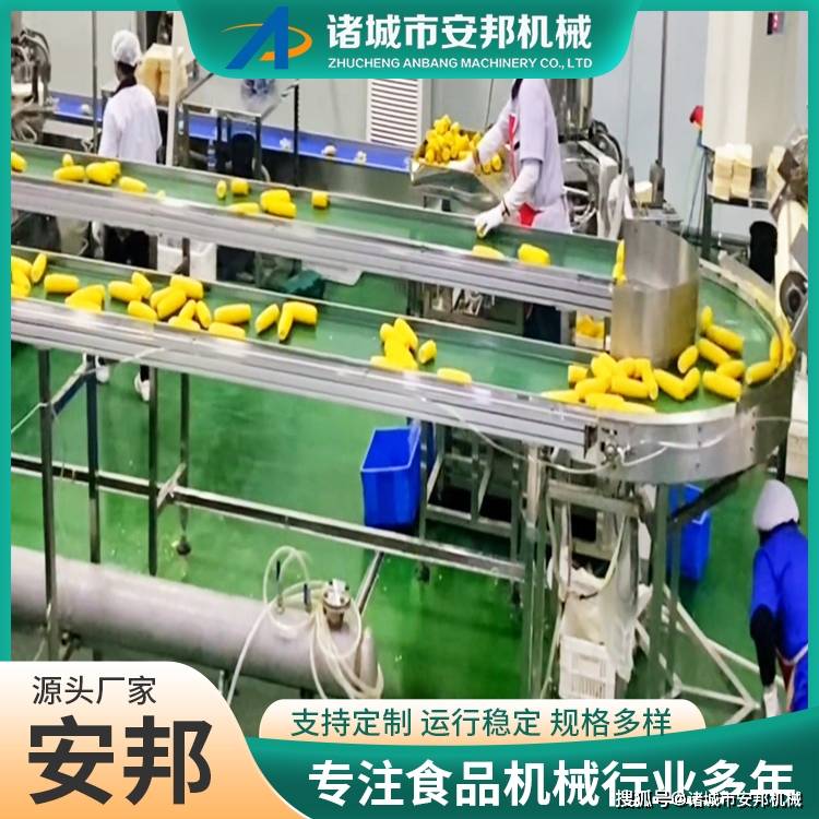 新式鮮食玉米清洗機(jī) 自動化玉米扒皮清洗流水線:玉米收獲機(jī)