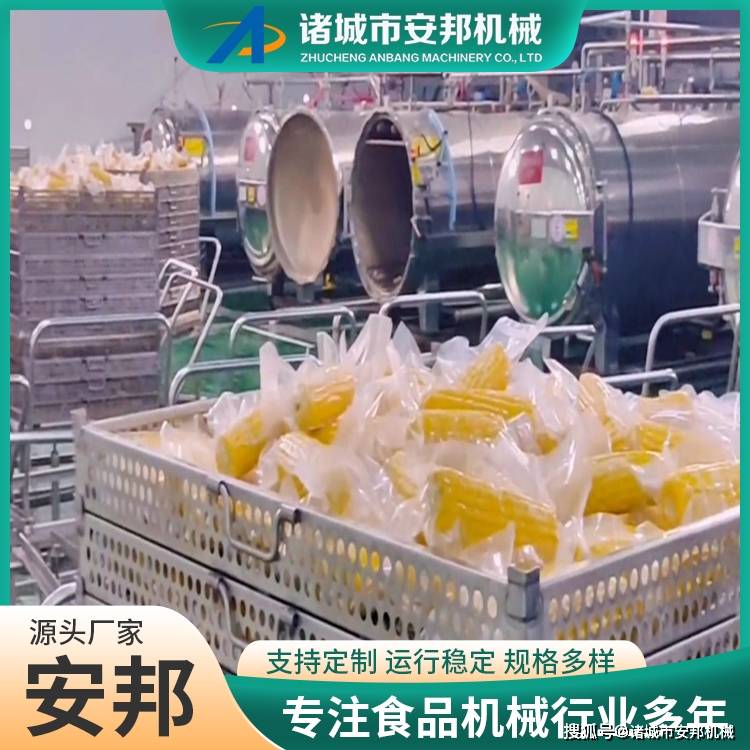 新式鮮食玉米清洗機(jī) 自動化玉米扒皮清洗流水線:玉米收獲機(jī)