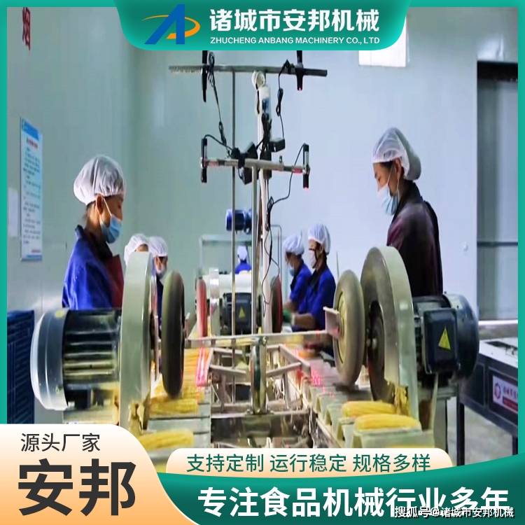 新式鮮食玉米清洗機(jī) 自動化玉米扒皮清洗流水線:玉米收獲機(jī)